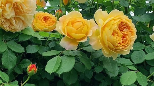 12 апреля - 2025