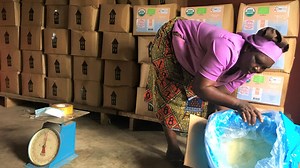 Women shea producers in Northern Ghana to benefit from international certification to access global markets