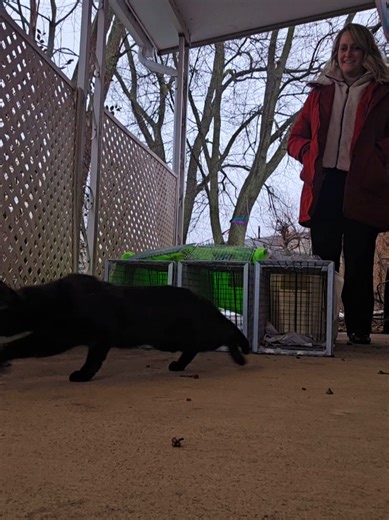 First TNR of 2026: Making a Difference for Community Cats