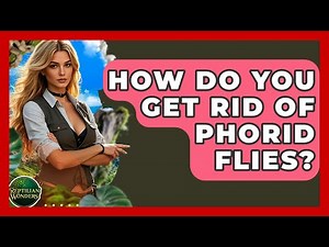 How Do You Get Rid Of Phorid Flies? - Reptilian Wonders