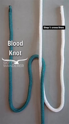 How to Tie a Blood Knot for Fishing: Step-by-Step Guide