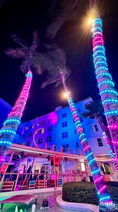 1.1K reactions · 54 comments | Ocean Drive, Miami Beach, Florida. . . . . #miami #florida #miamibeach #oceandrive #visitmiami #hotels #artdeco #neonlights #nightout #nighttime | Dorota Biendarra | Facebook