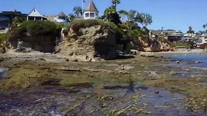 13K views · 331 reactions | {HAPPY•SATURDAY} · "Study nature, love nature, stay close to nature. It will never fail you." ·Frank Lloyd Wright · · · · ·  {JOHN·NEWMAN+KYGO} Never let you go · | LagunaBeach.com | Facebook