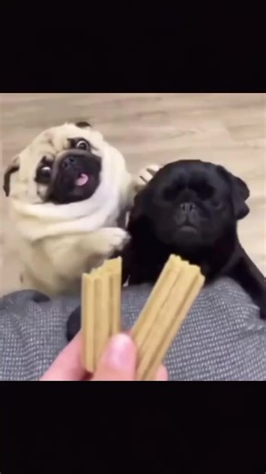 Відео користувача ALEX_ROBLOX (@ded_.indsaid) з композицією «original sound - Bob»