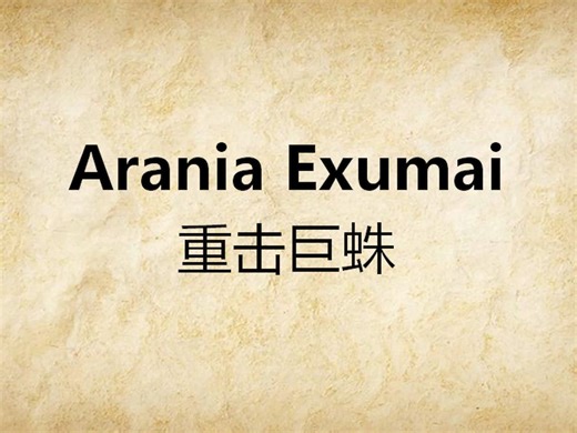 24咒语-Arania Exumai（英音-自用）
