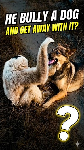 This Gibbon is the ULTIMATE prankster! 🐒🐕