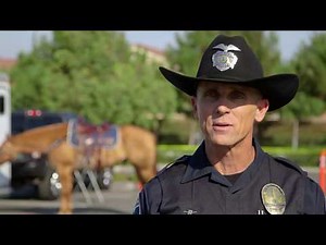 Meet Irvine police's beloved mounted unit