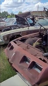 MUSCLE CARS EVERYWHERE!