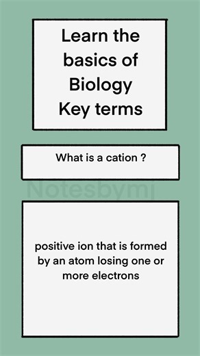 What is a Cation? ⚡️ Biology Basics Explained #Shorts