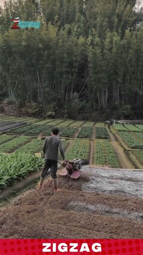 Powerful & Compact Mini Tiller Machine for Loosening and Preparing in Terrace Farm Soil Area