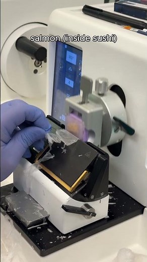Cutting Fast Food on the Microtome - Histology and Pathology Experiments