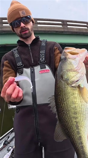 4.5” Mooch Minnow: Your New Go-To Fish Catcher