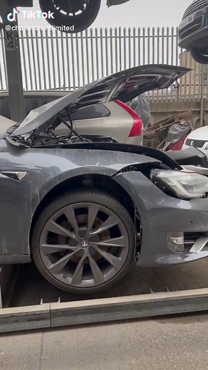 Exploring the 2019 Tesla Model S Breaker