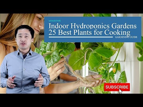 Quick Guide: Indoor Hydroponic Gardening (25 Best Plants for Healthy Cooking)
