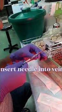 How to perform Iv injection in mouse. 🐁