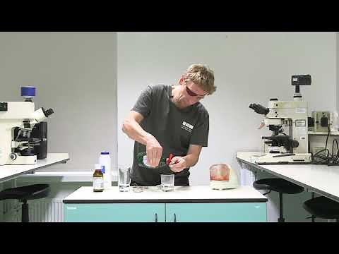 How to extract DNA from tomatoes - Norwich Science Festival