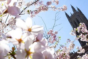 About Duke | Human Resources