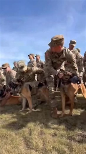 As we close out the year, we take a moment to reflect on everything the Army Military Working Dog Program has accomplished. 🐾🇺🇸 From mission success to relentless training, trusted partnerships between handlers and MWDs, and continued progress across the force; this year proved the power of teamwork, discipline, and dedication. We move into the new year motivated, modernized, and mission-ready. With a focus on innovation, readiness, and strengthening our teams, we are setting the conditions t