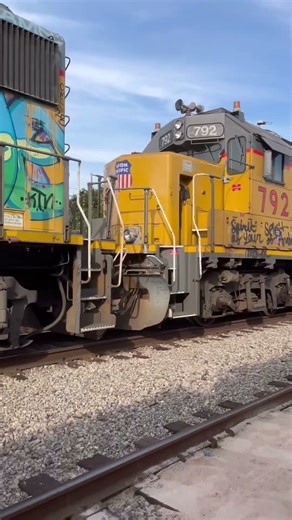Bull Passing Through The Train Yard🐂🚂 #creolski #train #graffiti #montanablack #bnsf #unionpacific