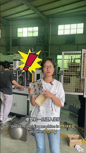 Full Automatic Pulp Molding Production Line | Make Biodegradable Packaging from Waste Paper& Bagasse