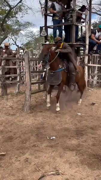 A well-marked and spirited chestnut horse, this one is a beast when chasing cattle. #cattlecatchi...