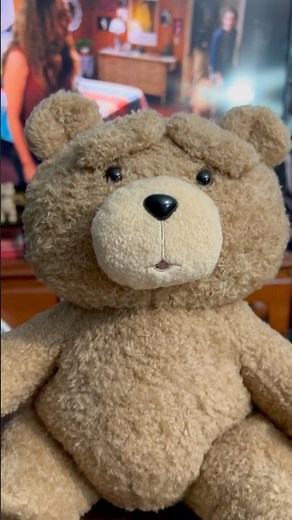 ted poseable plush #ted #teddybear #plush #toys #toycollector #collection #shorts #popmart #comedy