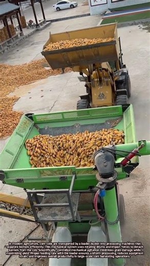 Mechanical Corn Kernel Separation Using Loader-Fed Machines Techs