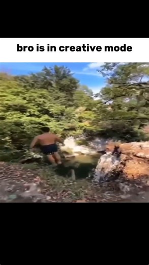 Bro did not turn off creative mode #meme #funny #minecraft