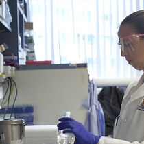 Laser Microdissection in Glioma Research - JoVE Journal