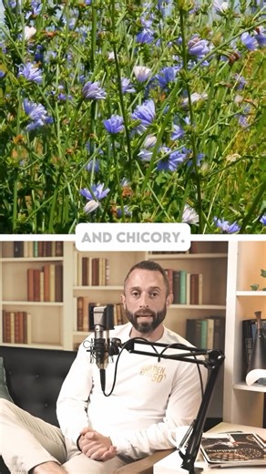 Did you know there’s a bunch of different types of fiber? You’ve got...