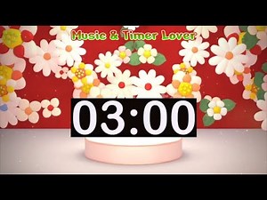 3 Minute Spring Timer