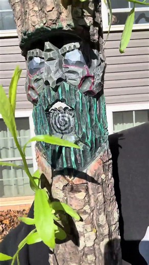 8 month old Weeping Willow Tree named Ulysses Storm-Tongue