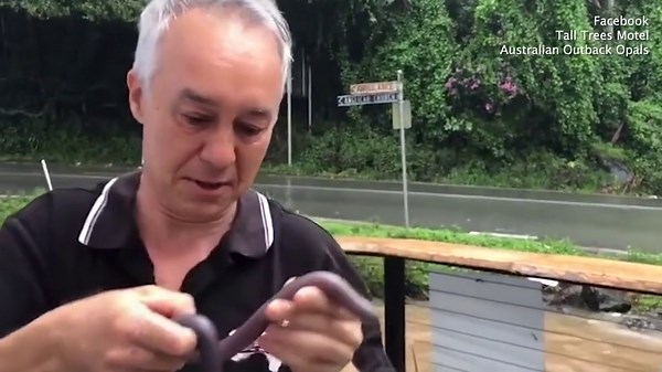 Earth worms rise from flood waters as rain lashes Queensland