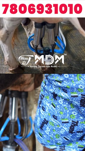 275K views · 3.6K reactions |  Revolutionize Your Dairy Farm! ...