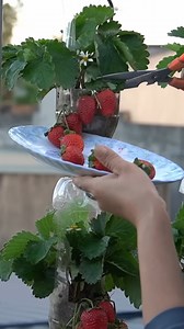 292K views · 2K reactions | Great! #reels | T-Studio | Facebook