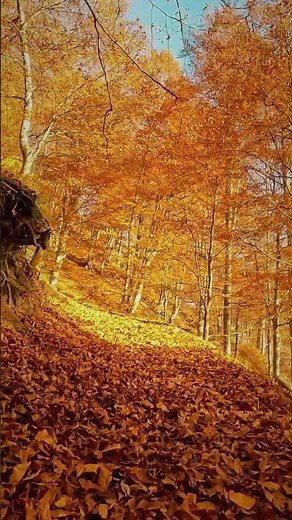 Buila-Vânturarița!