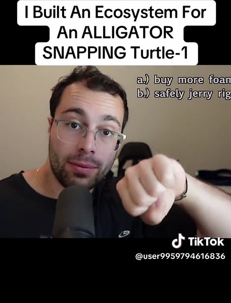 I Built An Ecosystem For An ALLIGATOR SNAPPING Turtle-1 | alligator snapping turtle