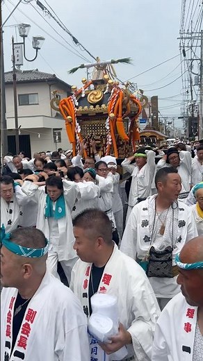 【結城の大神輿、瓔珞映える宮出し道中】令和８年（2026）結城夏祭り（健田須賀神社夏季大祭）（初日•出御）神社大神輿各町渡御〔宮出し道中〕#祭り #結城夏祭り #神輿 #茨城 #結城市