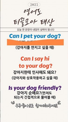 "만져봐도 돼요?"원어민은 이렇게 말해요#강아지쓰다듬어도돼요영어로#강아지손해요영어로#영어회화