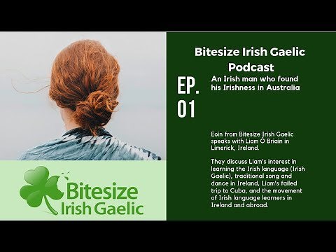Bitesize Irish Podcast Ep. 01