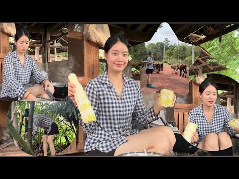 The lifestyle of Lao girls in the countryside#วิถีชีวิตสาวลาวในชนบท