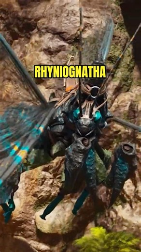 RHYNIOGNATHA OSZUKUJE STAMINĘ 😳#arksurvivalascended #arksurvivalevolved #ark #tips_and_tricks