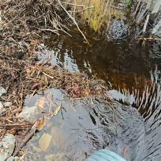 TEIL 7 Draining Massive Pond By Completely Unclogging Huge Culvert Pipe (Overnight Camera Build Back) | Post 10