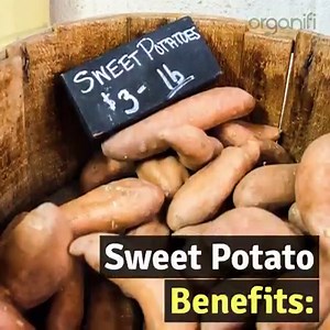 122K views · 91 reactions | Juicing sweet potatoes is a creative way to mix up juicing routine and experience the extraordinary health benefits of sweet potatoes. Learn more: https://bit.ly/2I54PC6 | Juicing Vegetables | Facebook