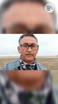 Oil spill affects turtles and crustaceans on Coatzacoa beaches