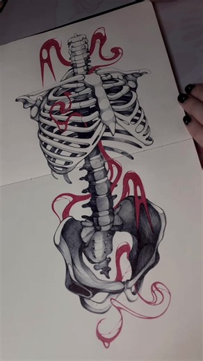 Rib cage drawing with Bic cristal pens 👹 #ribcage #anatomypractice #sketchbook #ballpointpen #artistsoftiktok #artfyp #valencia #sketching #españa #drawing #EdicionAvanzada #tattoo