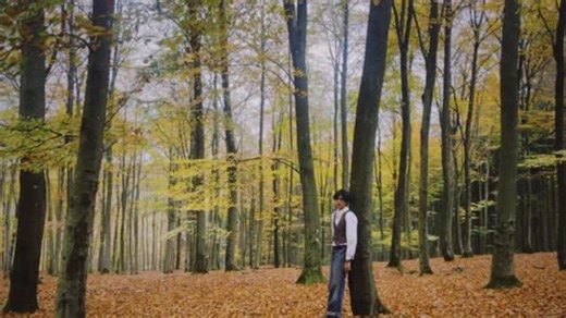 justin degryse on Instagram: "my debut ep “Boy and the Swan” is yours november 7th 🦢⋆✴︎˚｡⋆ go pre save ! (link in bio)"