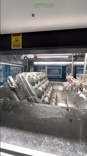 Eco-Friendly Tableware Production | Bagasse Molding Process #bagasseproducts