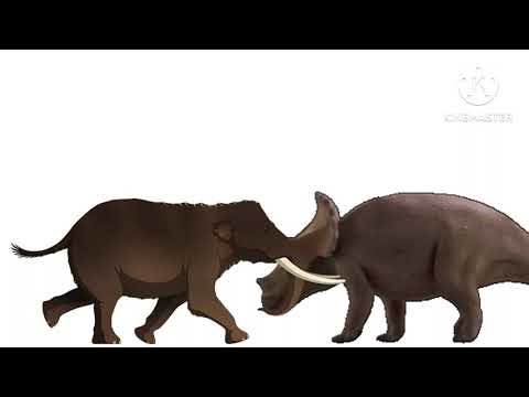 Triceratops vs Rhinos and Elephants Size Comparison