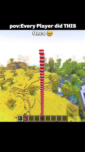 Universal Minecraft Nostalgia✨️🥹❤️ #minecraft #viral #tranding